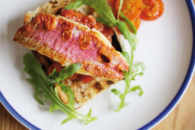 Grilled red mullet
