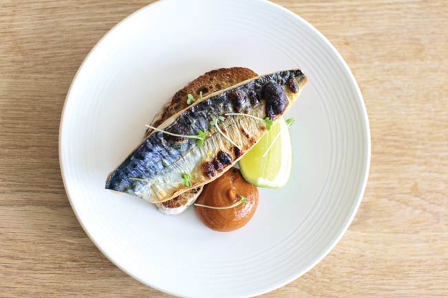 Mackerel