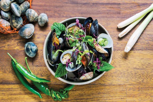 Mussels and clams