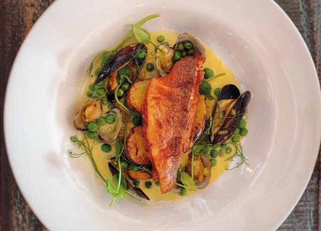 Red gurnard with clams and mussels