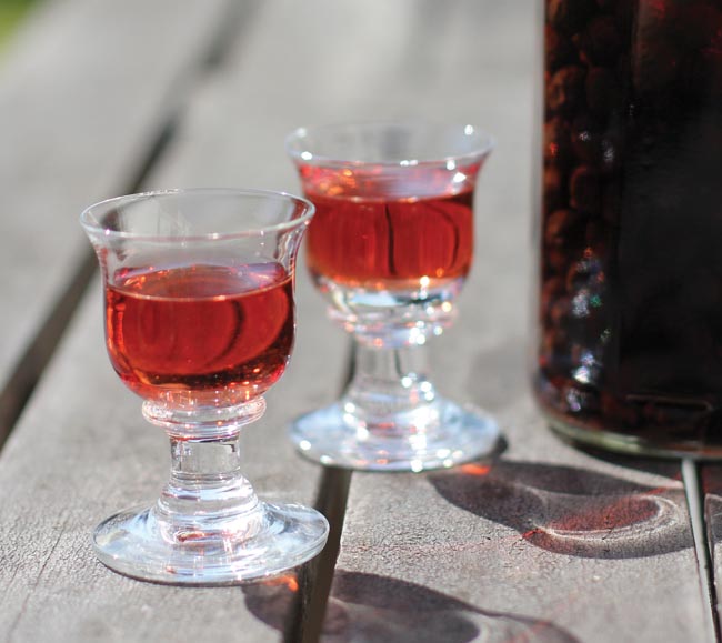 Sloe gin recipe