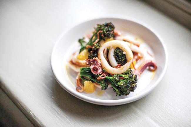 Squid, Cornish salami and fennel recipe
