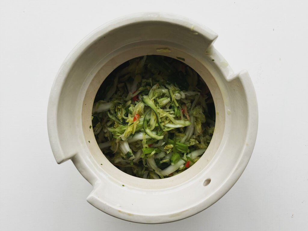 Ferments for gut health, Newlyn Fermentary