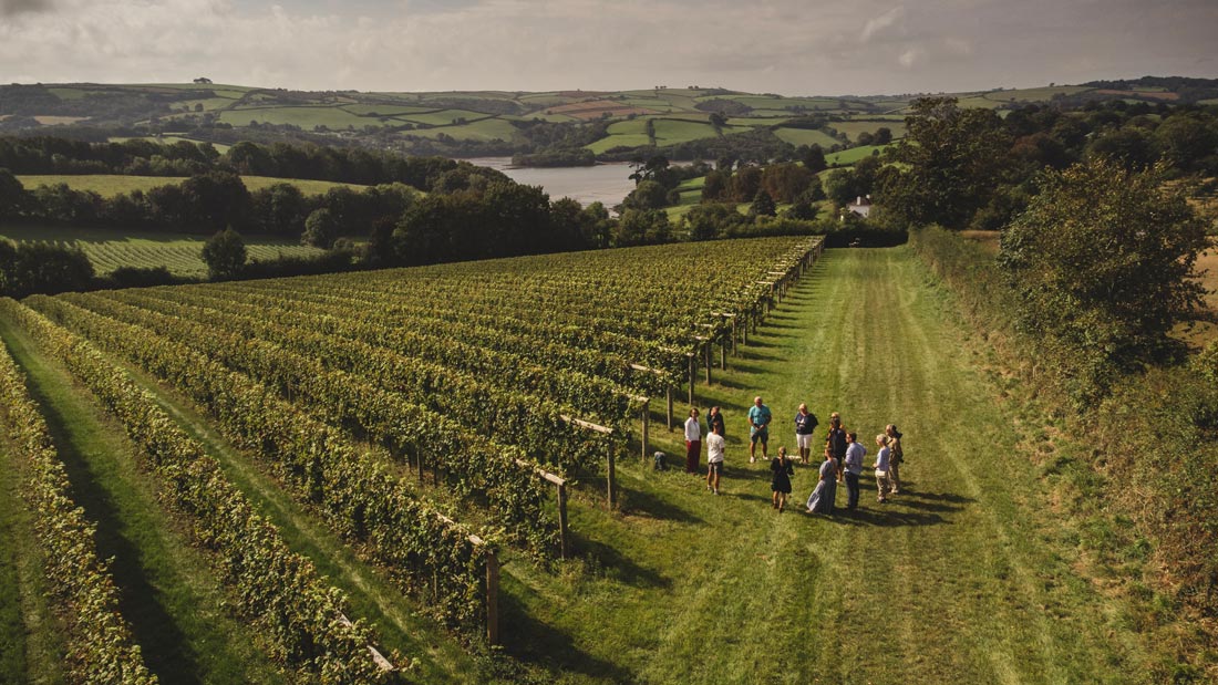Sandridge Barton, vineyard tours and tastings